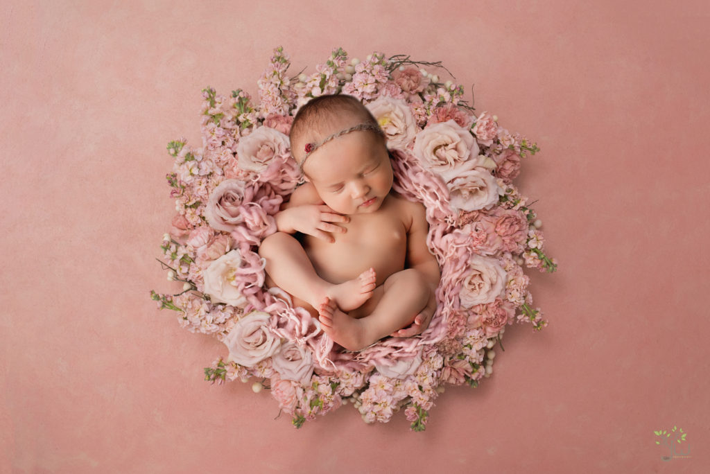 Best Seattle Newborn Photography